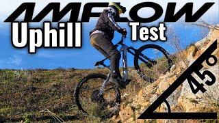 Besteht es den Uphill Test? // DJI Amflow Bike