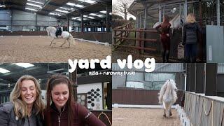 YARD VLOG: runaway buski edition