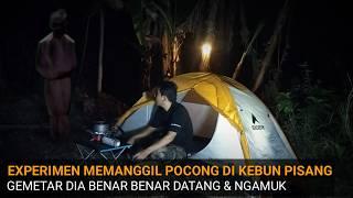 CAMPING HOROR: NGERI AKIBAT NANTANG BANYAK POCONG BERDATANGAN