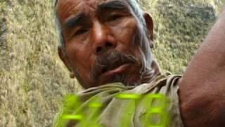 Wild Gold: Honey-Hunters of Nepal (Dir. Gore Gurung)