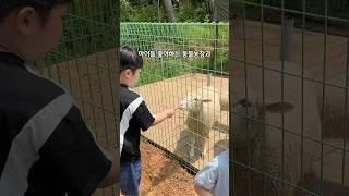 10,000평 규모의 자연 속 힐링 맛집 아라뱃길 24년 전통 유천가든  인천 서구 아라로51번길 6-1#유천가든#오리진흙구이#인천맛집#아라뱃길맛집 #서구맛집#인천가볼만한곳