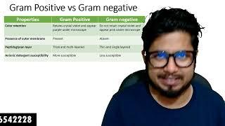 Difference between Gram positive and Gram negative bacteria