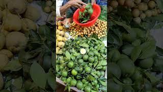 green Malta  #fruits #fruit #fruitsmarket #viral #shorts #ytshorts #video #shortsvideo #viralvideo