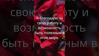  УТРЕННИЕ АФФИРМАЦИИ БЛАГОДАРНОСТИ | МОЩНЫЙ НАСТРОЙ НА УСПЕХ, БОГАТСТВО И ГАРМОНИЮ #аффирмации