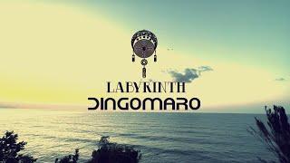 dingomaro  @labyrinth.1   ویدیو ساده  قسمتی از موزیک دینگومارو   listen  this music on the platforms