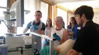 Hands-on-training in action - UEG Summer School