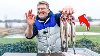 Forelle ausnehmen in wenigen Sekunden inkl. Kiemen  Anleitung für Anfänger