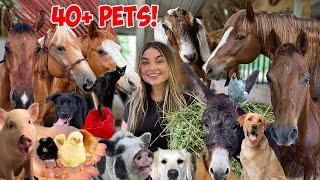 SUMMER MORNING ROUTINE with 40+ PETS!  *CUTE ANIMALS*