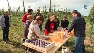 Les "Vergers ouverts" eco-responsables de Lignières-de-Touraine