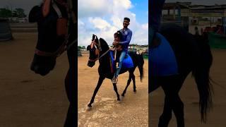 Horse video  | #horse #horses #ghoda #cutebaby #ytshorts #viral #trending #shortsfeed #ytvideo