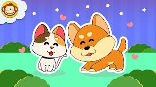 Lagu Anak Anak  | Kucing dan Anjing  BaLiTa | Baba Lili Tata