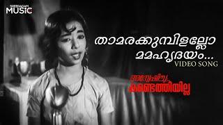 Thamarakumbilallo Mamahridayam Video Song | Anveshichu Kandethiyilla | S. Janaki | M S Baburaj