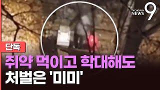 [단독] 길고양이 밥에 쥐약 넣고 동사시키고…2년 학대에도 처벌 피해 [뉴스9]