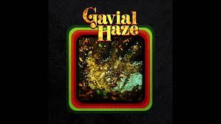 GAVIAL HAZE - GAVIAL HAZE (full Album 2024)