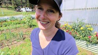 Canning Day! | Farmyard Walk and a Garden Harvest