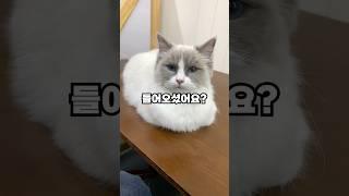 유튜브 알고리즘 원리가 궁금해?