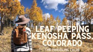 Leaf Peeping at Kenosha Pass, Colorado - The Traveling Tacos