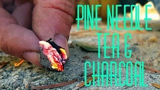 Making: Charcoal & Pine Needle Tea