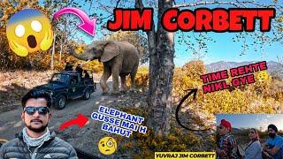 ELEPHANT KA ATTACK PHIR SE  MORNING SAFARI IN JHIRNA ZONE ️ #yuvrajjimcorbett #jimcorbett #safari