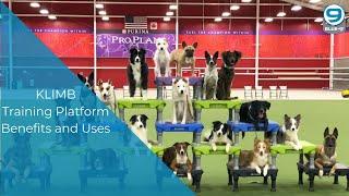 KLIMB Dog Training Platform Benefits and Uses