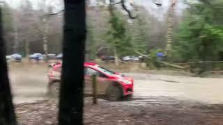 Riponian Rally 2024