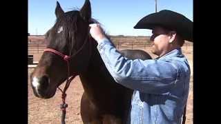 SPECIAL  WAGGONER RANCH