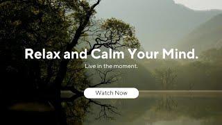 Harmony Haven: Soothing Sounds for Mindfulness️Relaxing music for meditation, studying and sleeping