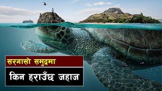 सरगासो सी एक रहस्यमय समुद्र || part : 2 || The Most Mysterious Sargasso Sea || all history