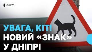 «Увага, кіт!» У Дніпрі встановили незвичайний дорожній знак задля безпеки тварин