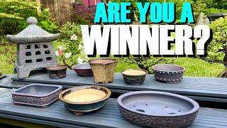 Big Bonsai Pot Giveaway: WINNERS ANNOUNCED