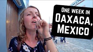 We went to OAXACA CITY and this is what happened