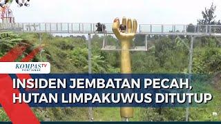 Kawasan Wisata Hutan Limpakuwus Banyumas Ditutup usai Insiden Jembatan Kaca Pecah