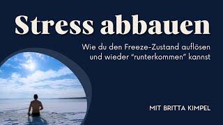 Wie du den Freeze-Zustand auflösen und Stress abbauen kannst