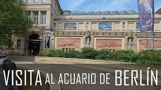 REVIEW: Sobre mi visita al acuario de Berlín