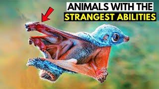 Top 10 Animals With the Strangest Abilities