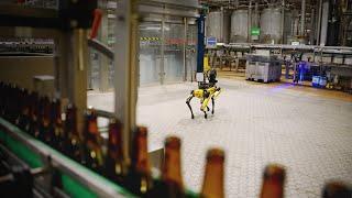 Spot at AB InBev Belgium | Boston Dynamics