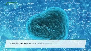 Stem Cell Treatment for Kidney Disease in 2024 - Acute injury and CKD