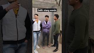 Delhi slangs | funny video | comedy video | Talkative Sahil #shorts