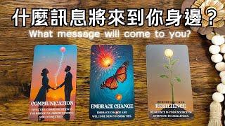 什麼訊息將來到你身邊？#運勢#感情#事業️黑皮好思HappyHouse Tarot⭐能量顯化 #塔羅占卜#諮詢 #tarotreading
