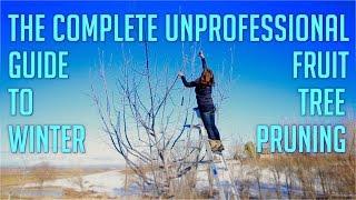 The Complete Unprofessional Guide to Winter Fruit Tree Pruning