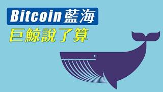 跌破是假跌破，鯨魚是真鯨魚！摸清機構操盤痕跡，下次不再掉陷阱！！！