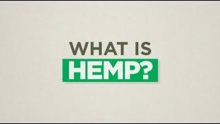 The CBD Community - What is Hemp?