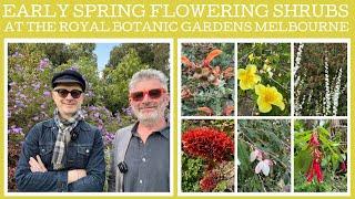 Eight early spring flowering shrubs at the Royal Botanic Gardens Melbourne!