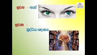 න ණ ල ළ භේදය හෙවත් අක්ෂර වින්‍යාසය