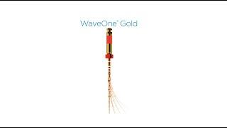 WaveOne Gold, the full protocol