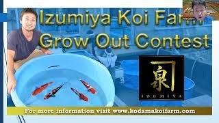 Izumiya Growout Contest