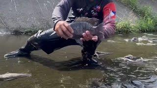 Amazing Fishing Spot , New Fishing Videos