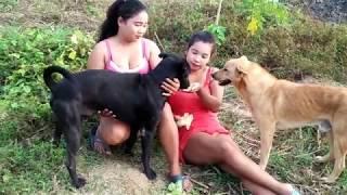 18x+ Beautiful girl Play with smart and cute dog and discover life Part 6