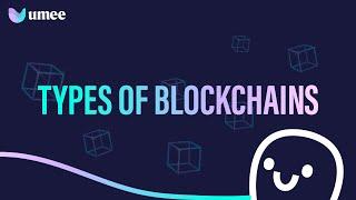 Types of Blockchains | Easy Animated Explanation | Umeeversity