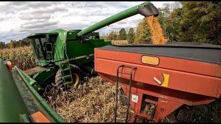 Starting High Moisture Corn